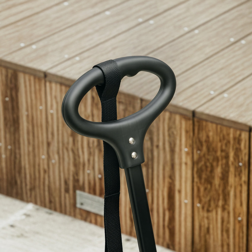 Hundvagn för Dvärghundar & Katter – Ihopfällbar med Justerbart Handtag (Svart, Max 4 kg)