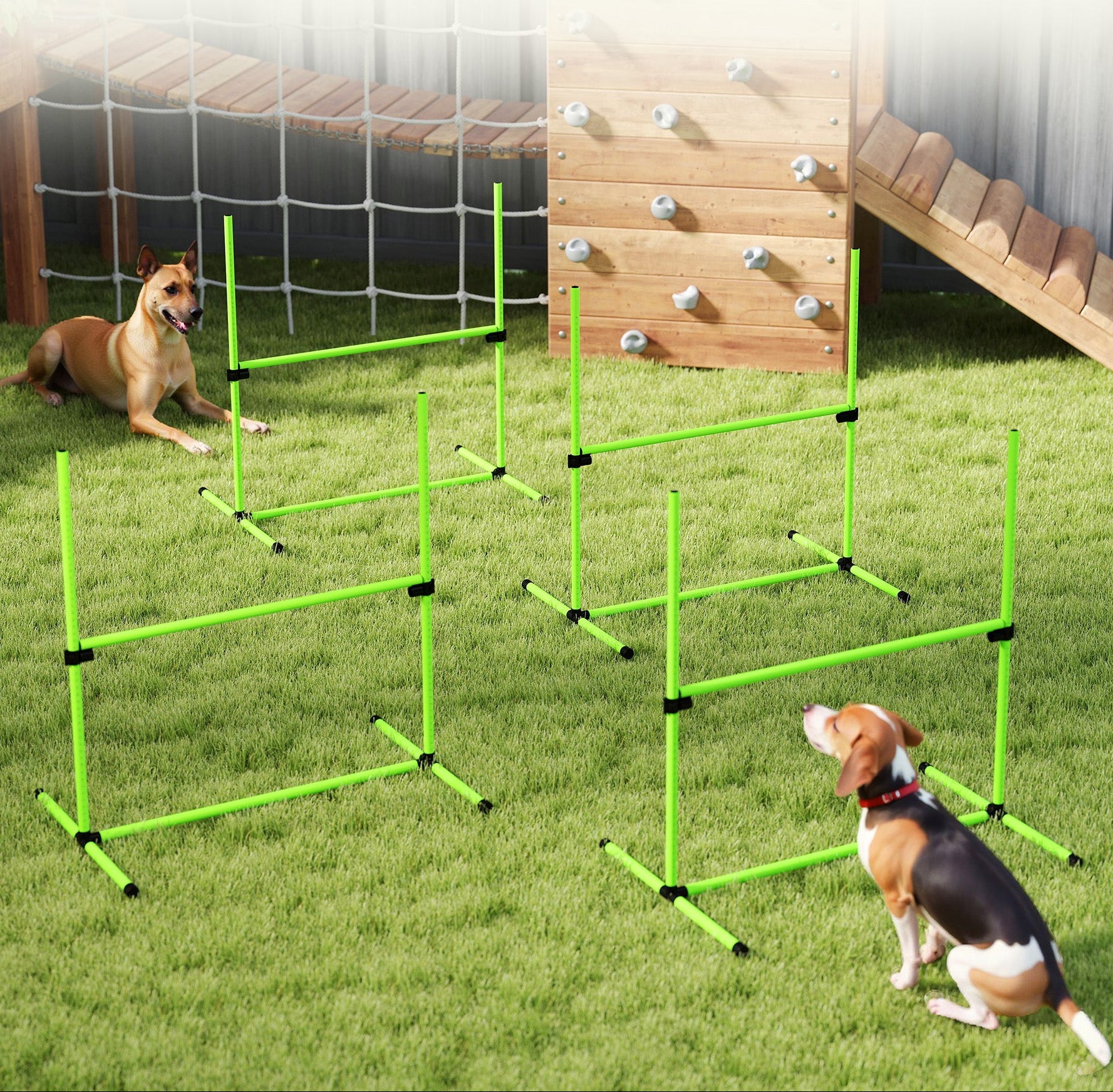 Agility-set för Hundar – 4 Justerbara Hinder med Förvaringsväska (Grön)