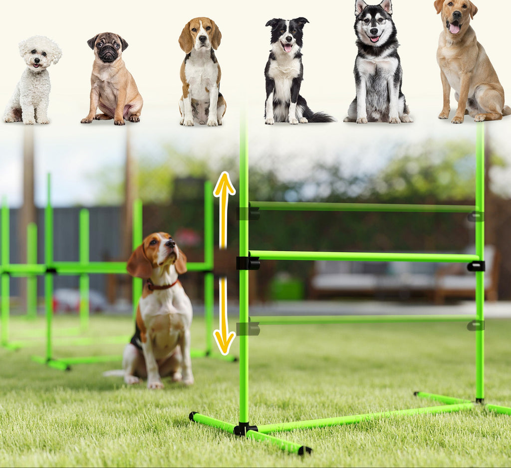 Agility-set för Hundar – 4 Justerbara Hinder med Förvaringsväska (Grön)