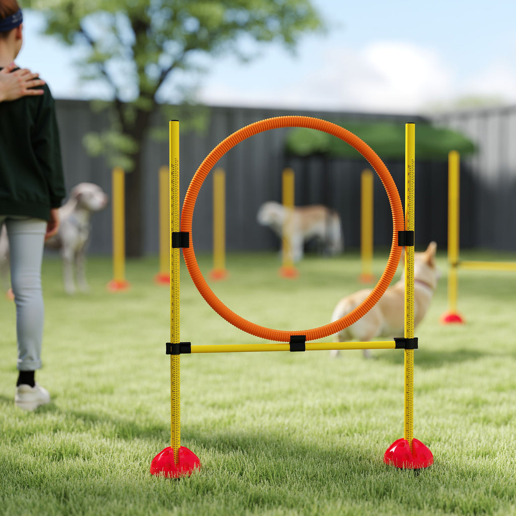 Agility-set för Hundar – 3 Delar med Påfyllningsbara Baser (Gul/Orange)