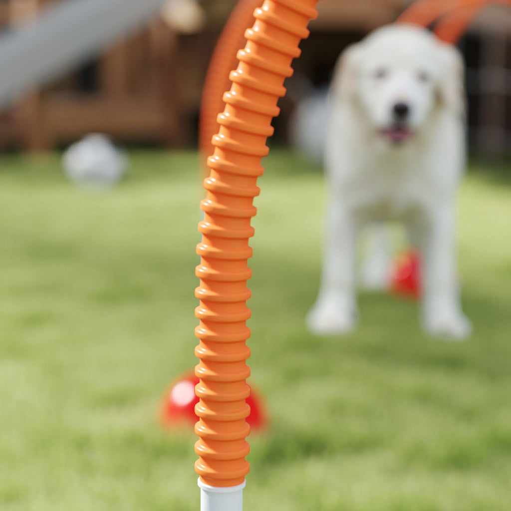 Agility-set för Hundar – 4 Justerbara Hinder med Stabila Baser (Blå/Orange)