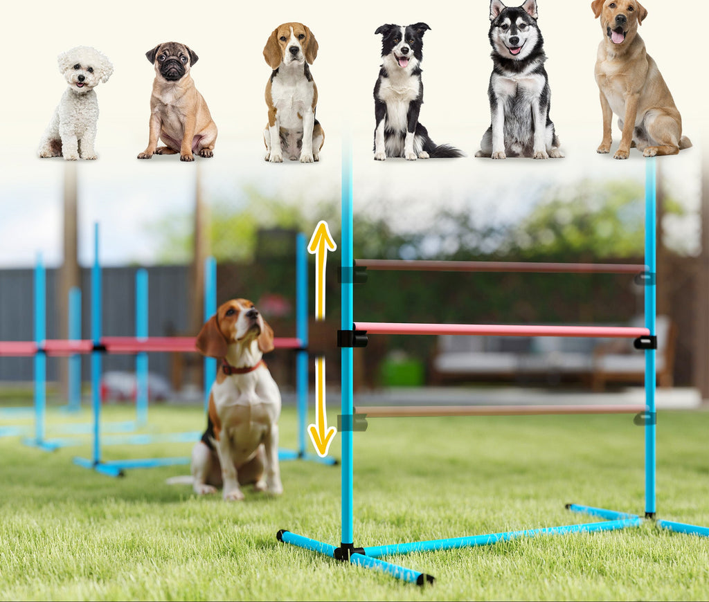 Agility-set för Hundar – 4 Justerbara Hinder med Förvaringsväska