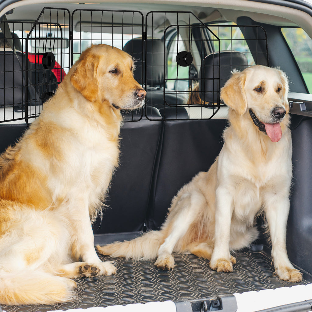 Universellt och justerbart hundgitter för bil med två Golden Retrievers i bagageutrymmet för säker transport