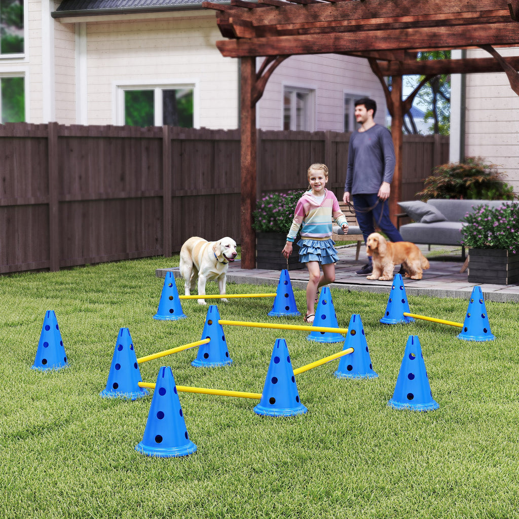 Agility-set för hundar med blå och gula koner – Komplett hinderbana för hundträning utomhus