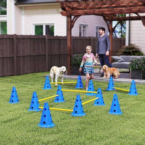 Agility-set för hundar med blå och gula koner – Komplett hinderbana för hundträning utomhus