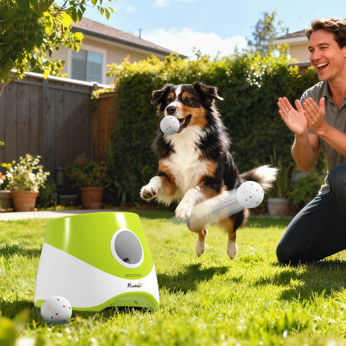 Automatisk bollkastare för hund i grön design som kastar bollar för interaktiv lek