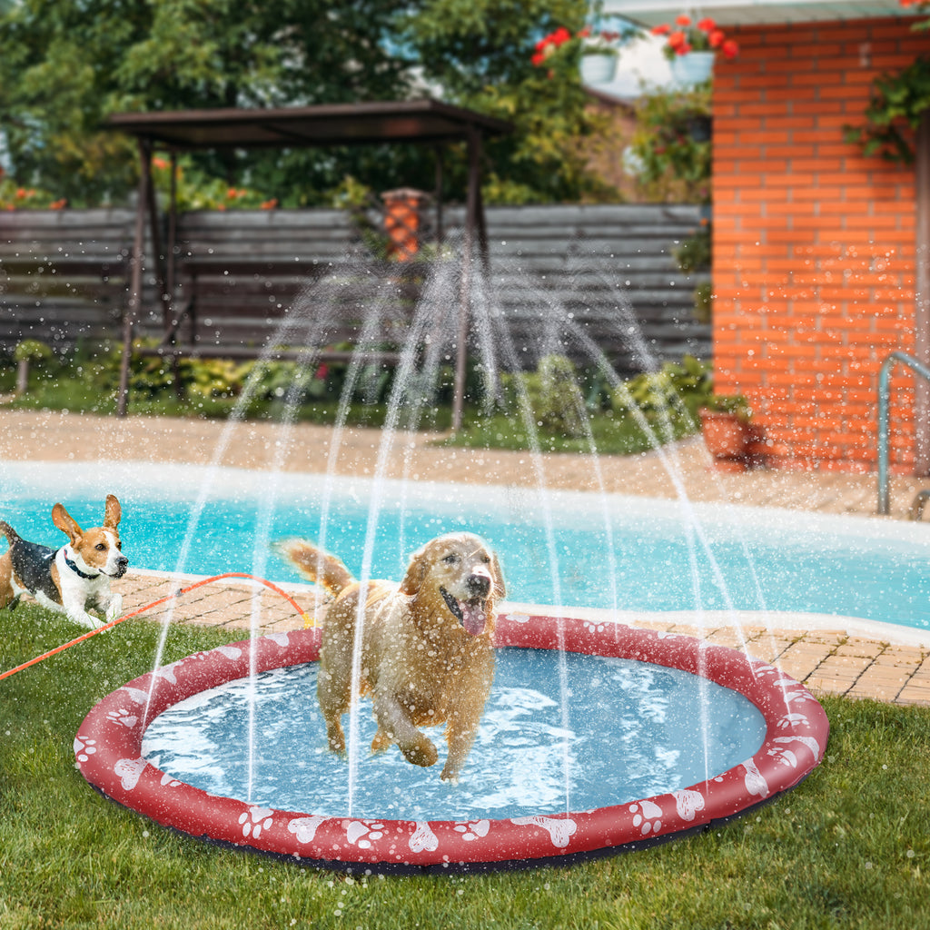 XXL Hundpool med Vattenspridare – Halkfri & Robust – Röd – Ø170 cm