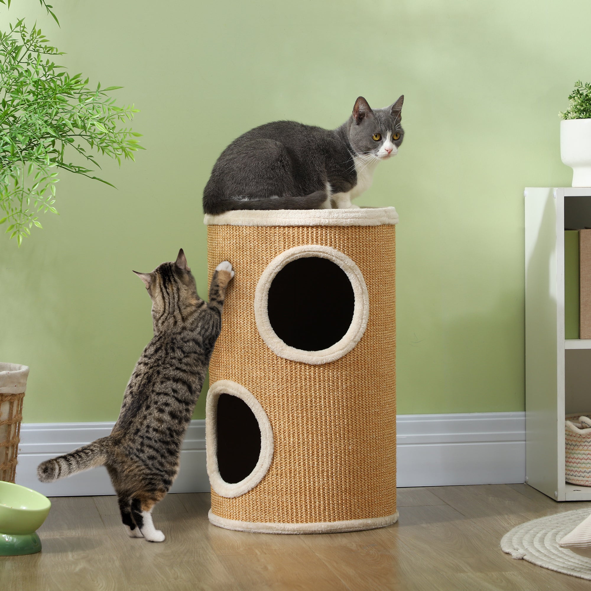 Två katter leker och vilar på en elegant beige klöstunna i två våningar, helt klädd i sisal och placerad i ett rum med en grön vägg.
