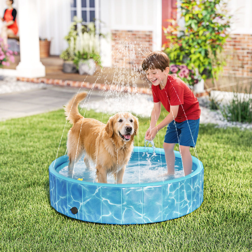 Blå hundpool med inbyggd fontänfunktion och halkfri botten för stora hundar