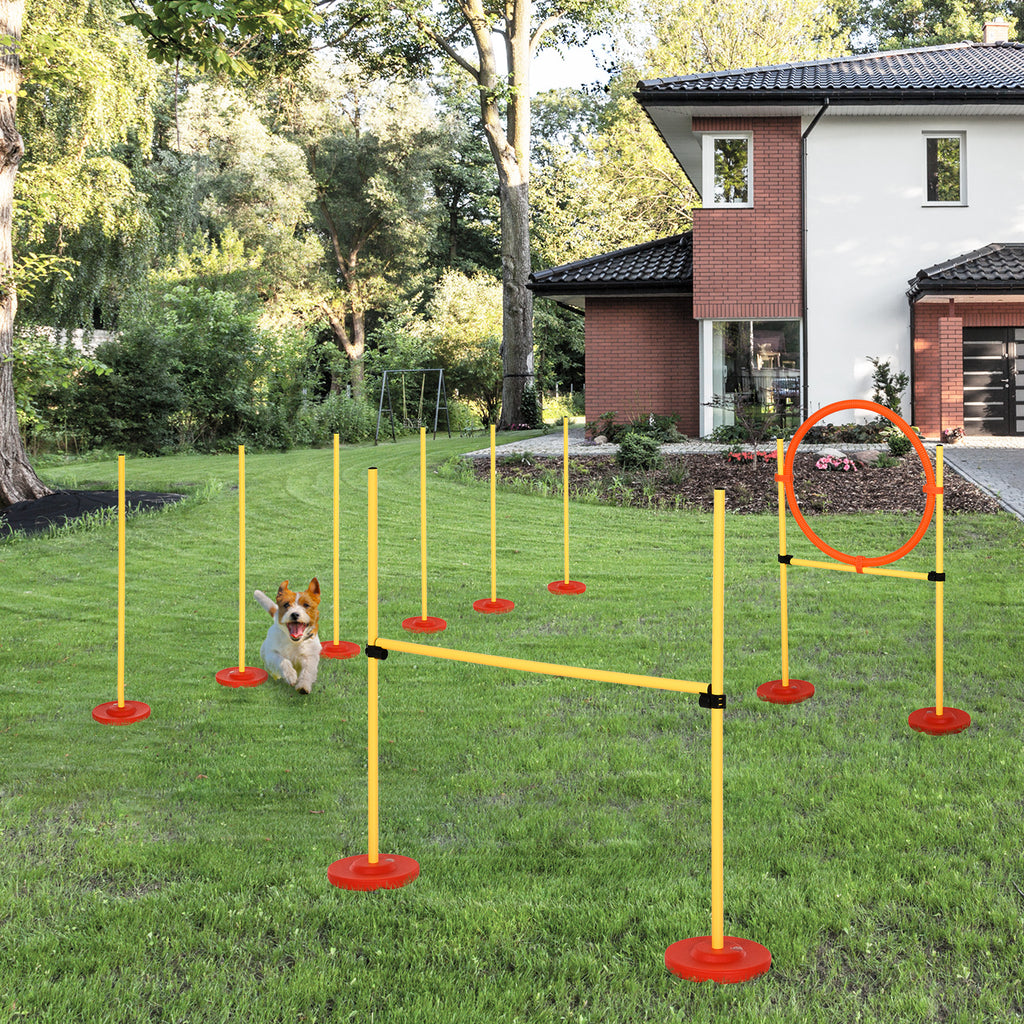 3-i-1 Agilityset för Hundar – Hoppring, Slalom & Hinder – Gult