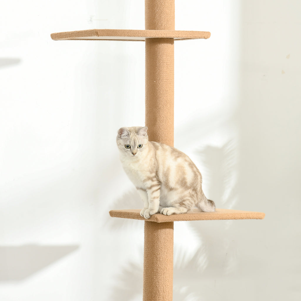 Takhögt klösträd med 4 plattformar – Ljusbrun, 228–260 cm