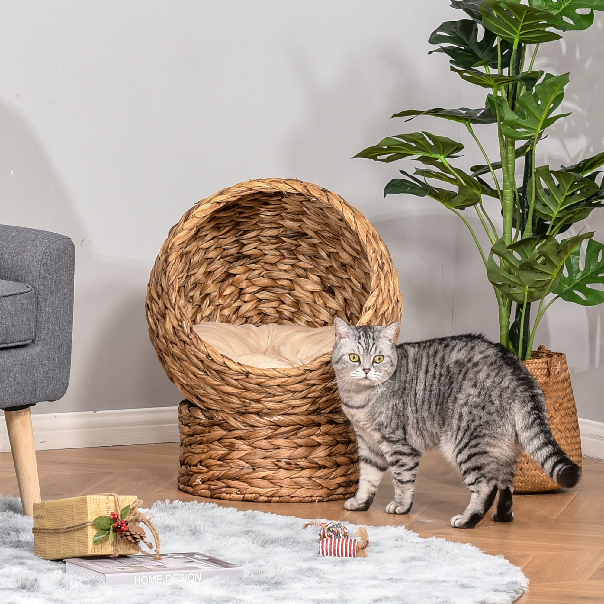 En elegant rund kattkorg flätad i naturlig vattenhyacint med en mjuk ljus dyna ir en grå katt.