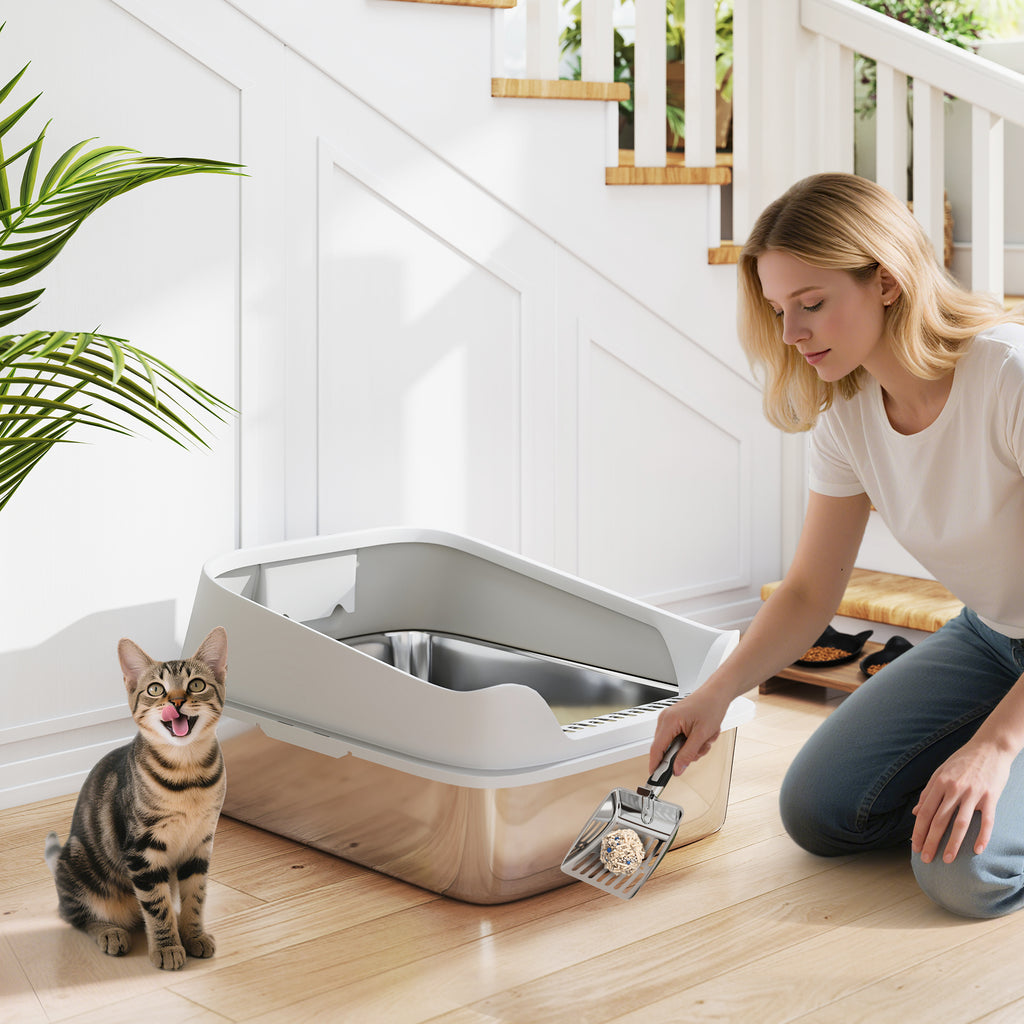 En extra stor (XXL) kattlåda i rostfritt stål med 16 cm höga grå sidoväggar, perfekt för stora katter upp till 12 kg.