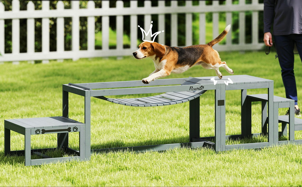 Hinderbana för hundar utomhus – Hållbart agility-set i 3 delar för alla hundraser