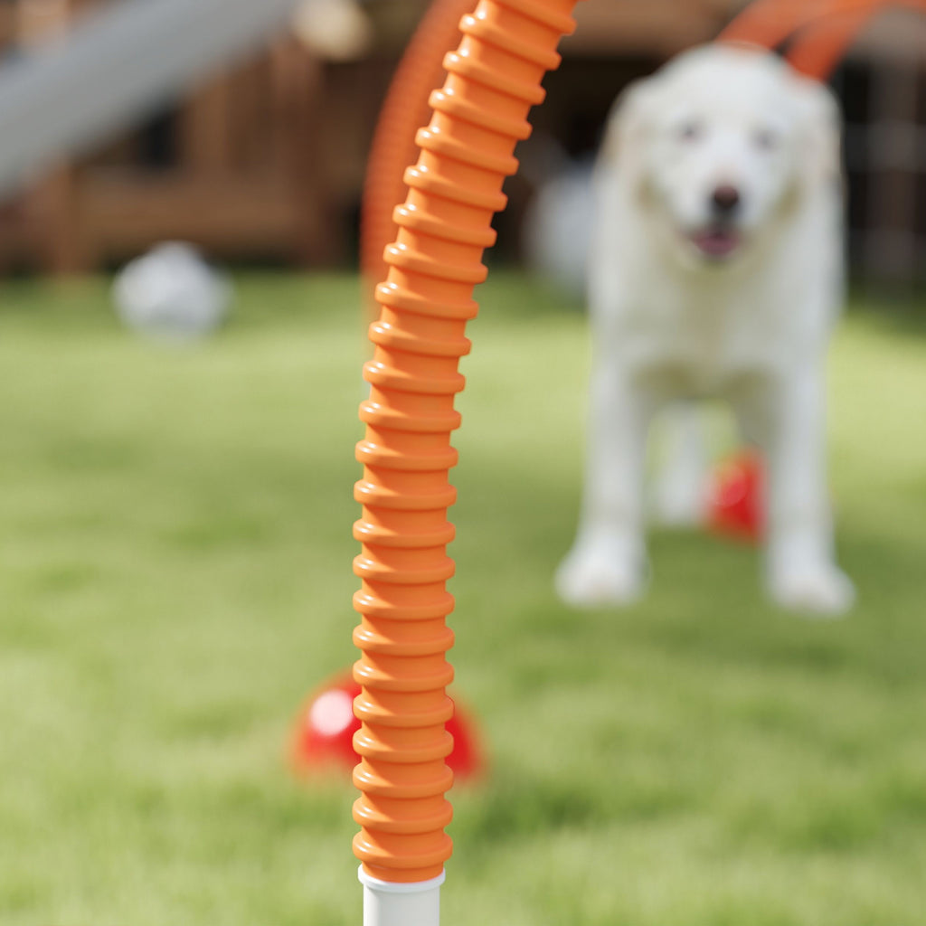 Agility-set för Hundar – 4 Justerbara Hinder med Stabila Baser & Väska